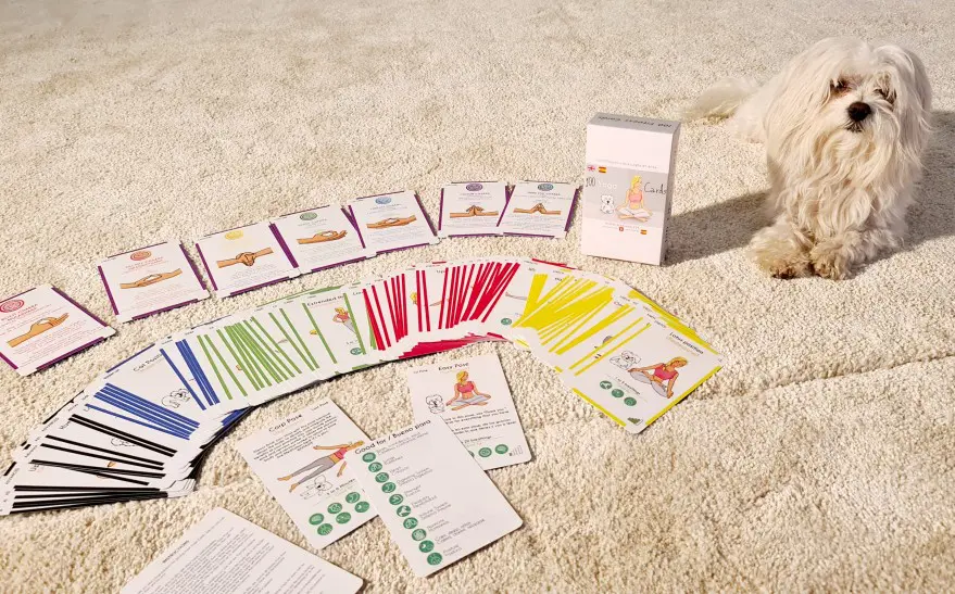 training cards, cartas de yoga